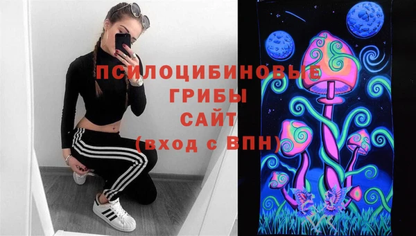 соль ск Осинники