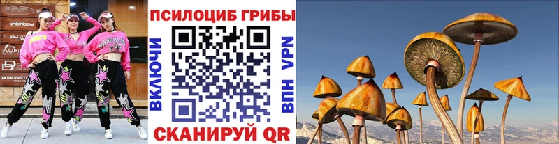 Галлюциногенные грибы прущие грибы  купить наркотик  blacksprut вход  Боровичи 