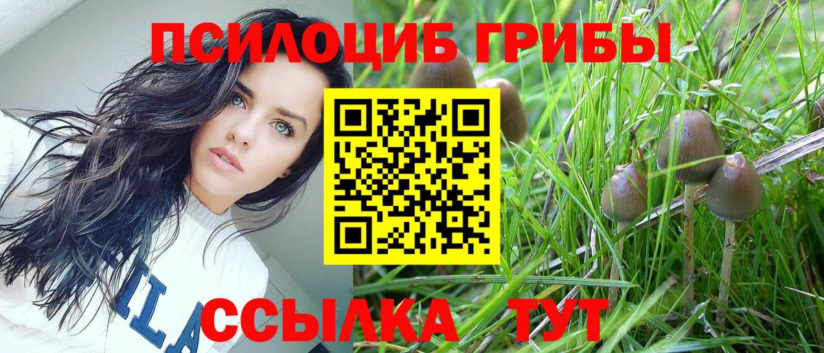 Псилоцибиновые грибы ЛСД Боровичи