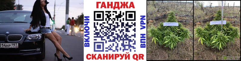 где найти наркотики  omg как зайти  Бошки марихуана план  Боровичи 